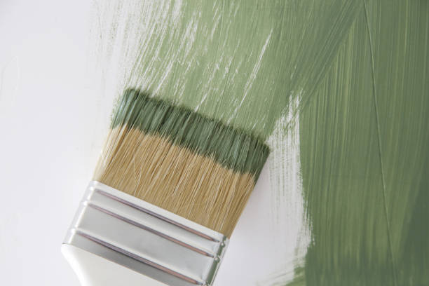Best Emergency Mold Remediation  in Blue Mound, TX