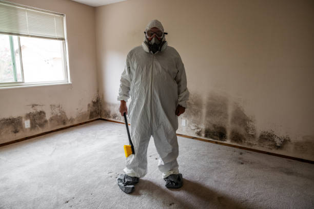 Best HVAC Mold Inspection and Cleaning  in Blue Mound, TX